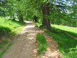 Le chemin de la chapelle Saint-Simon