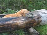 Une baignoire bien adapt�e.