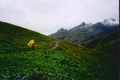 (1990m) La monte aprs le refuge des mottets.