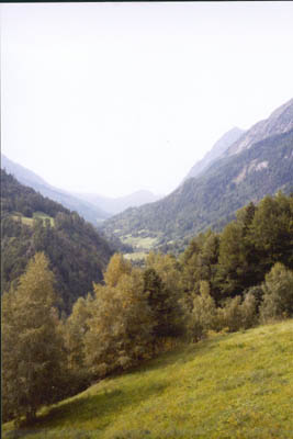 (1560m) La valle d'Orsires